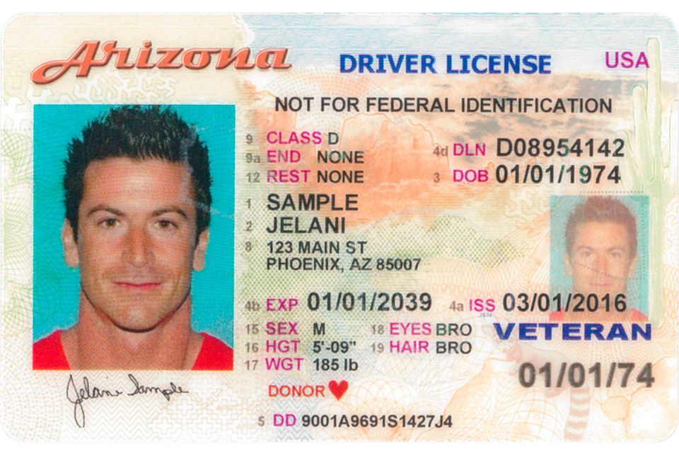 illinois drivers license number generator